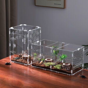 Reptile breeding box, acrylic transparent, for spiders, geckos, lizards, horned frogs, insects, landscaping display, breeding container